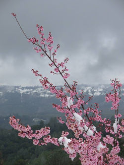 10941840_323993821123695_832389546413466632_n