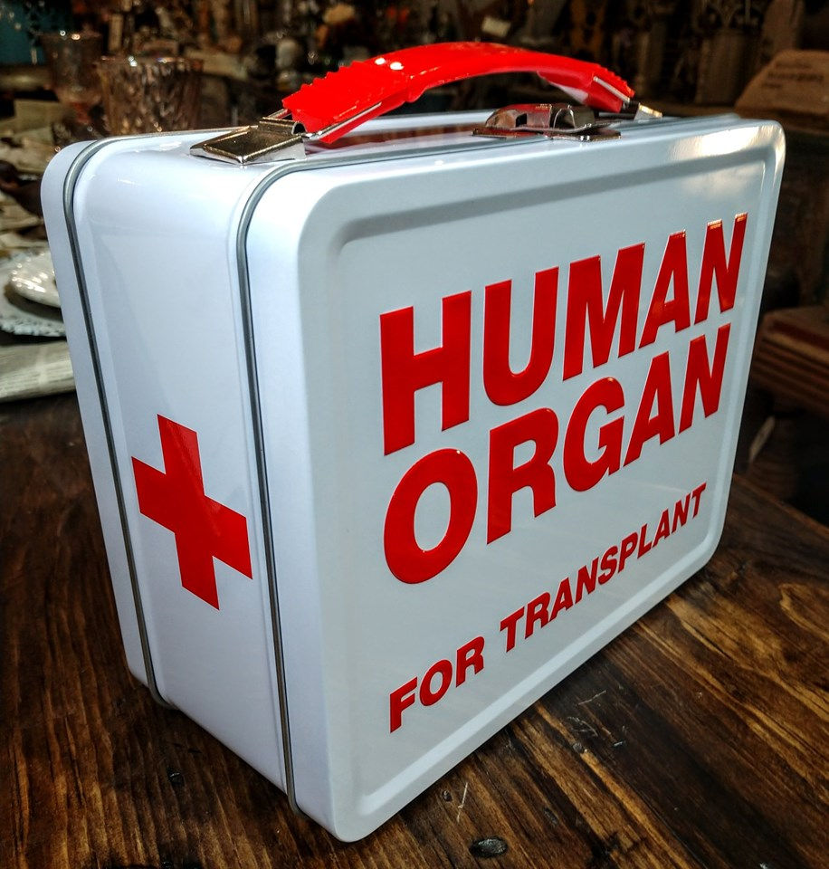 human organ