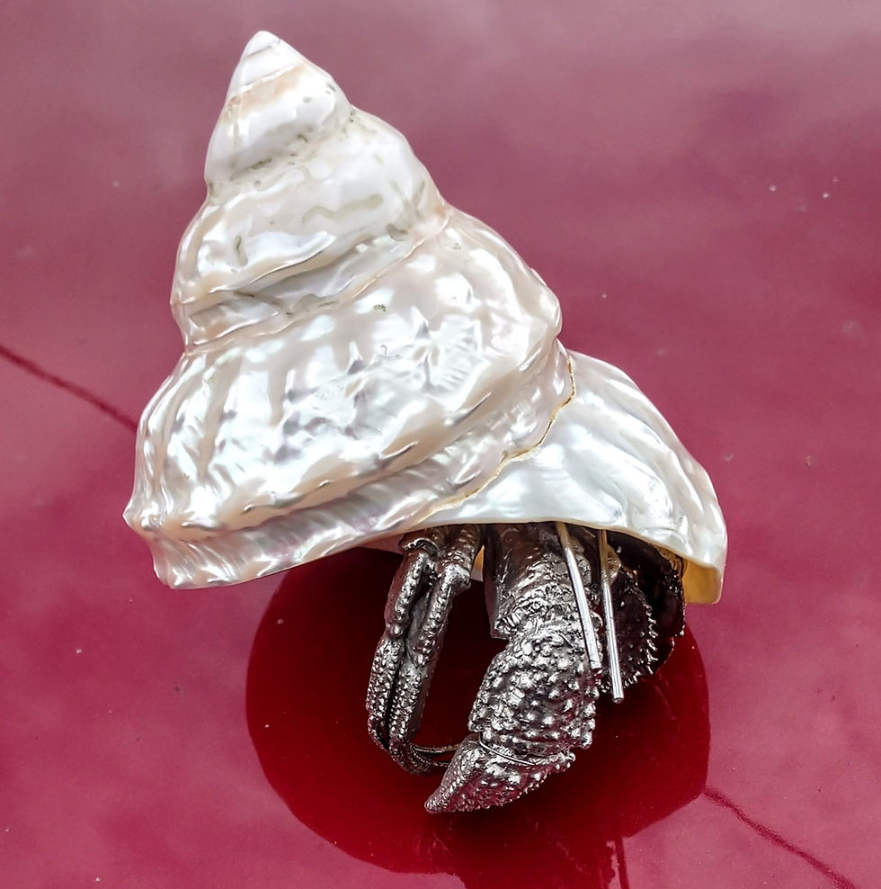 seashell crab