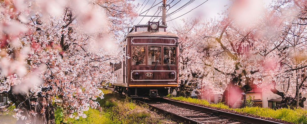 Voyage deductible au Japon