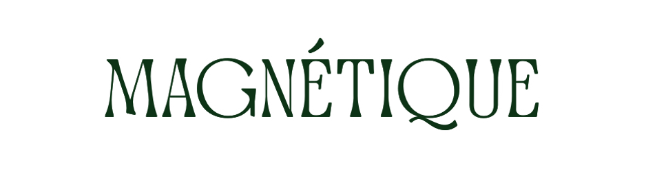 magnétique.png
