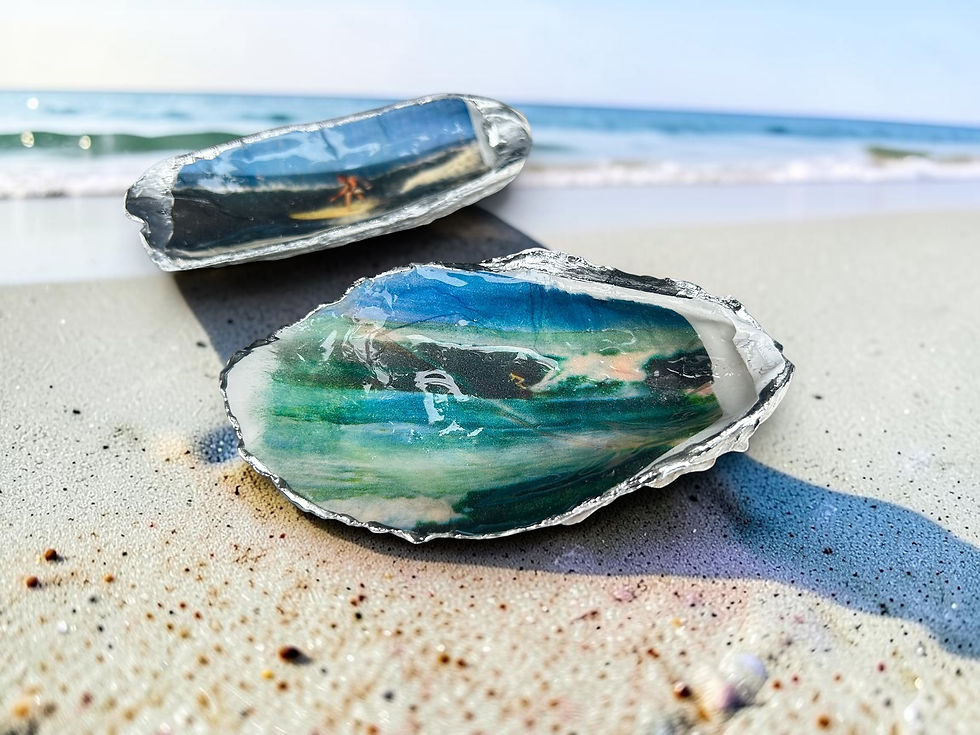 SURF DISHES
