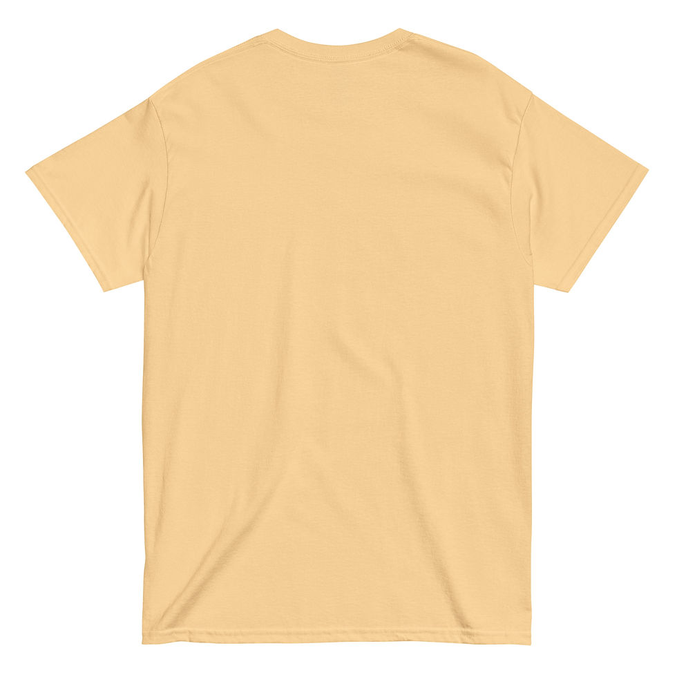 Thumbnail: Phoenix Reign Album T-Shirt