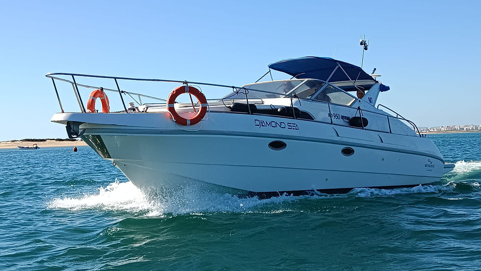 Rio Yachts 950 Cruiser