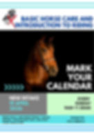 Horse Xpark - Horse care course.jpeg