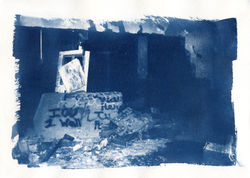 AD317-Cyanotypes002