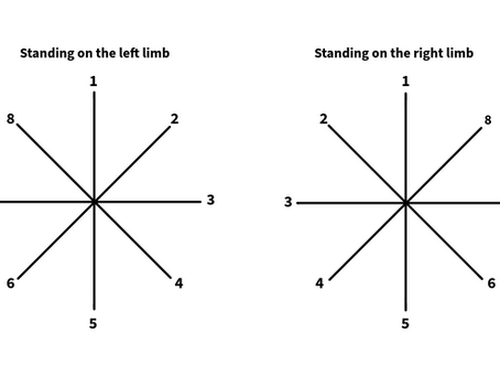 STAR EXCURSION BALANCE TEST (SEBT)