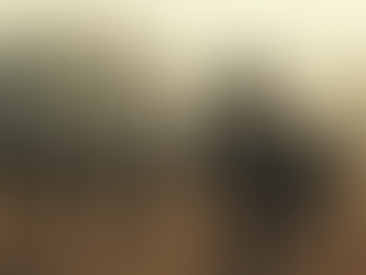 MILITARY SERVICE - PART II; SERVICE OPTIONS