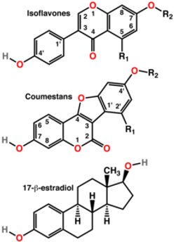 404px-Phytoestrogens2.png