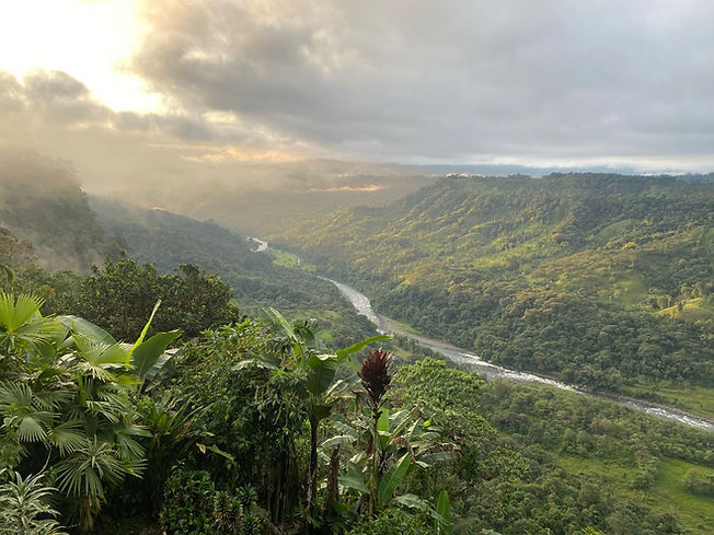 WhatsApp Image 2022-10-06 at 1.44.05 PM.jpeg