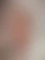 Delfi W