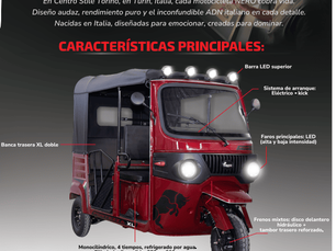 Collarín Forteza XL