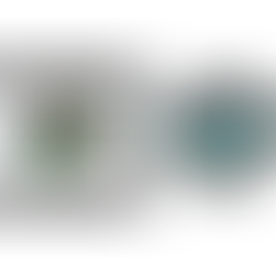 Jornada: do Projeto ao Produto