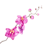 b4.png