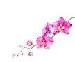 b4.png