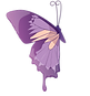 b4.png