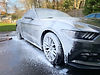 Soapy Mustang