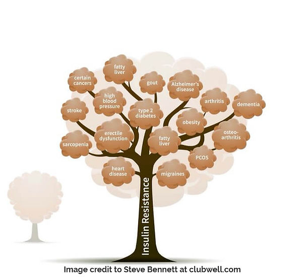 Hyperinsulinaemia and it's connection to chronic disease