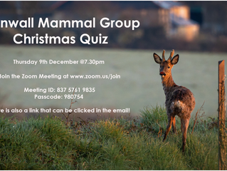 Christmas Quiz 2022