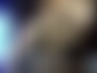 Septimus the Seal with the Cornwall Seal Group