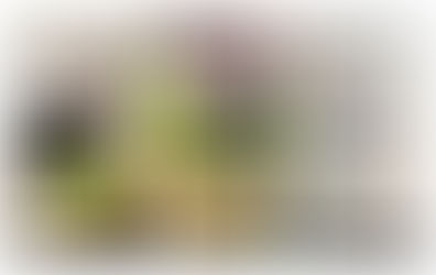 Albedo Informatics - Location Based Augmented Reality