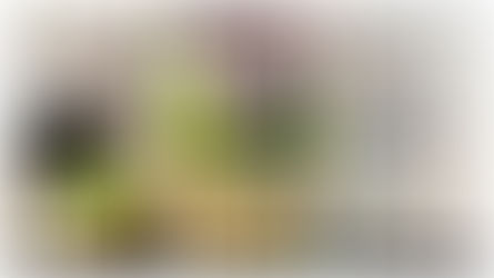 Albedo Informatics - Location Based Augmented Reality