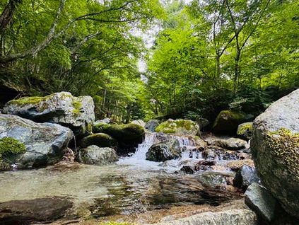 綺麗な水😊