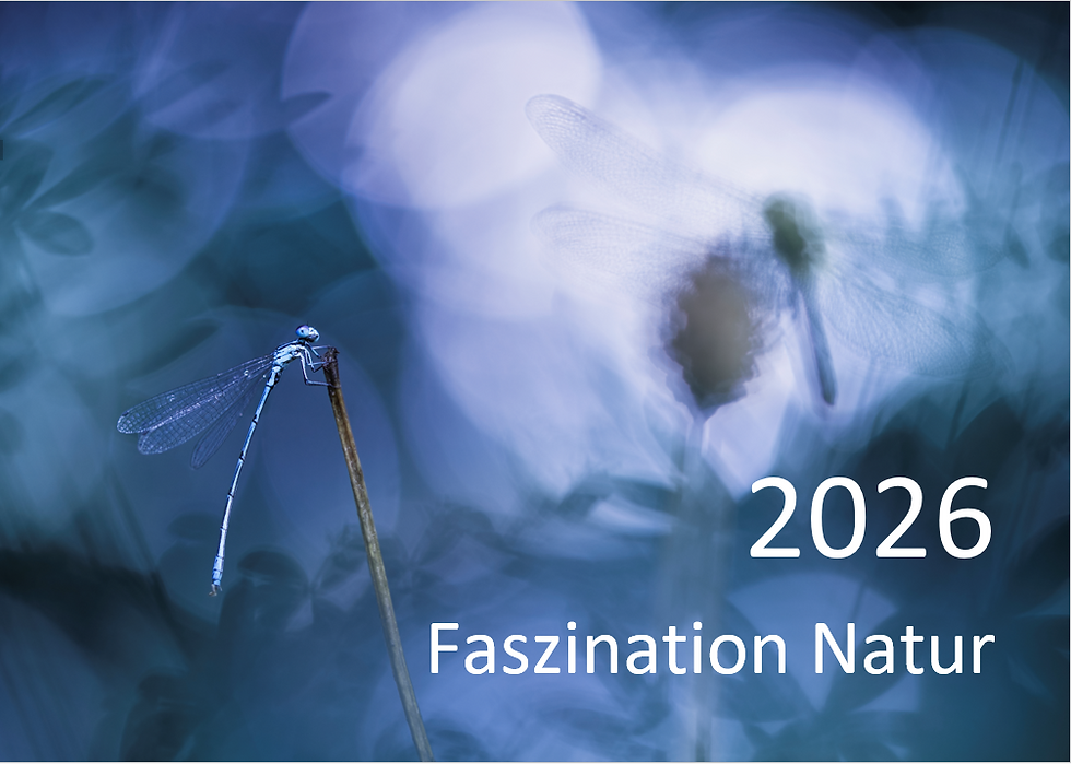 Naturfoto-Kalender 2026