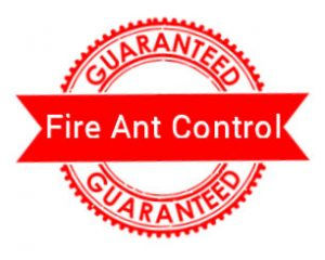 Guarantee