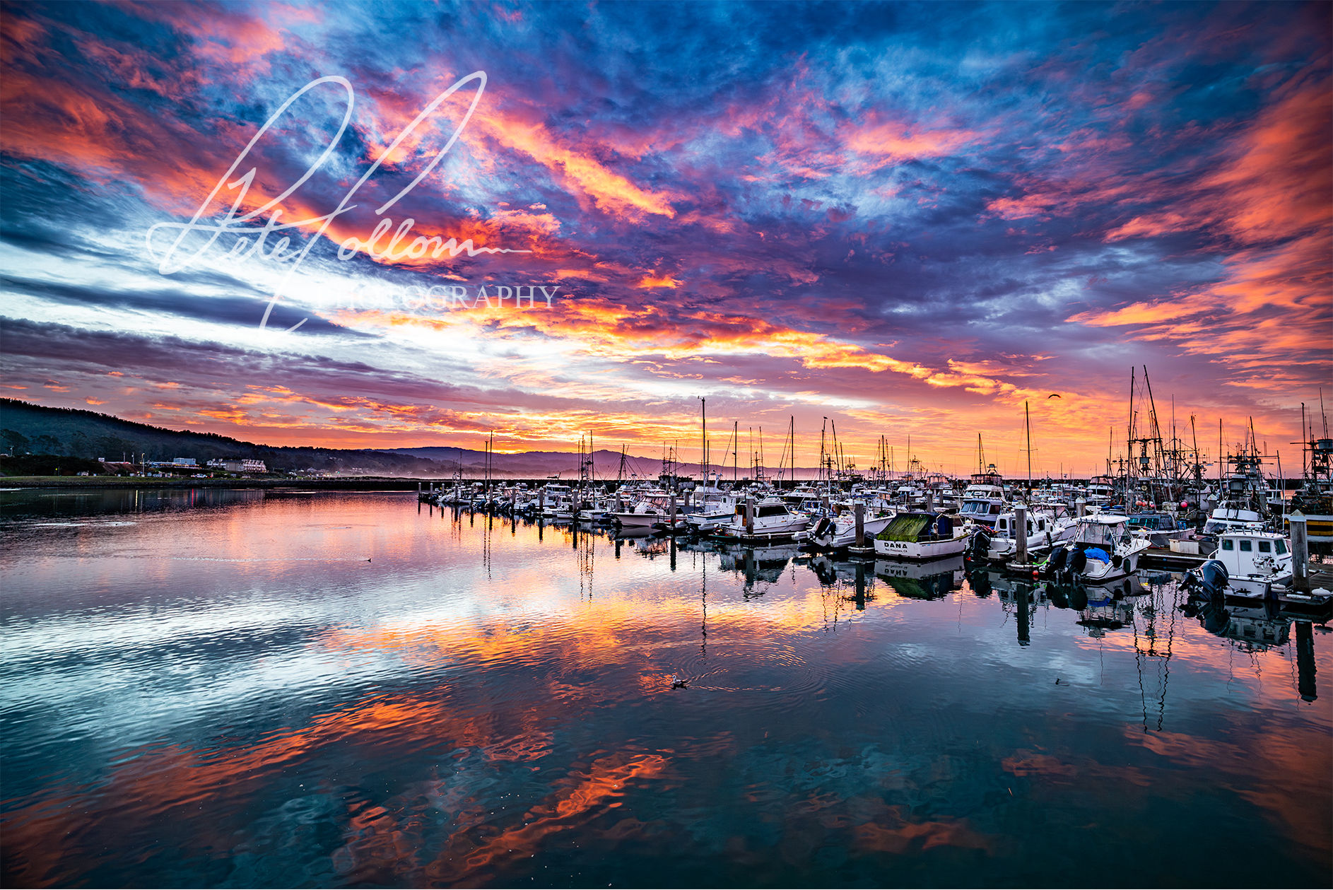 "Harbor Dawn"