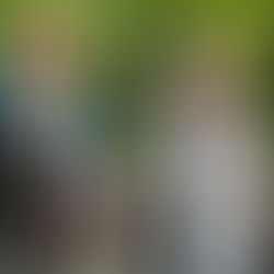 Busy Mom's Planning Guide for Back to School 2025