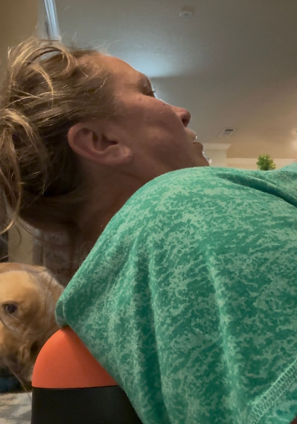 back muscle realease tool