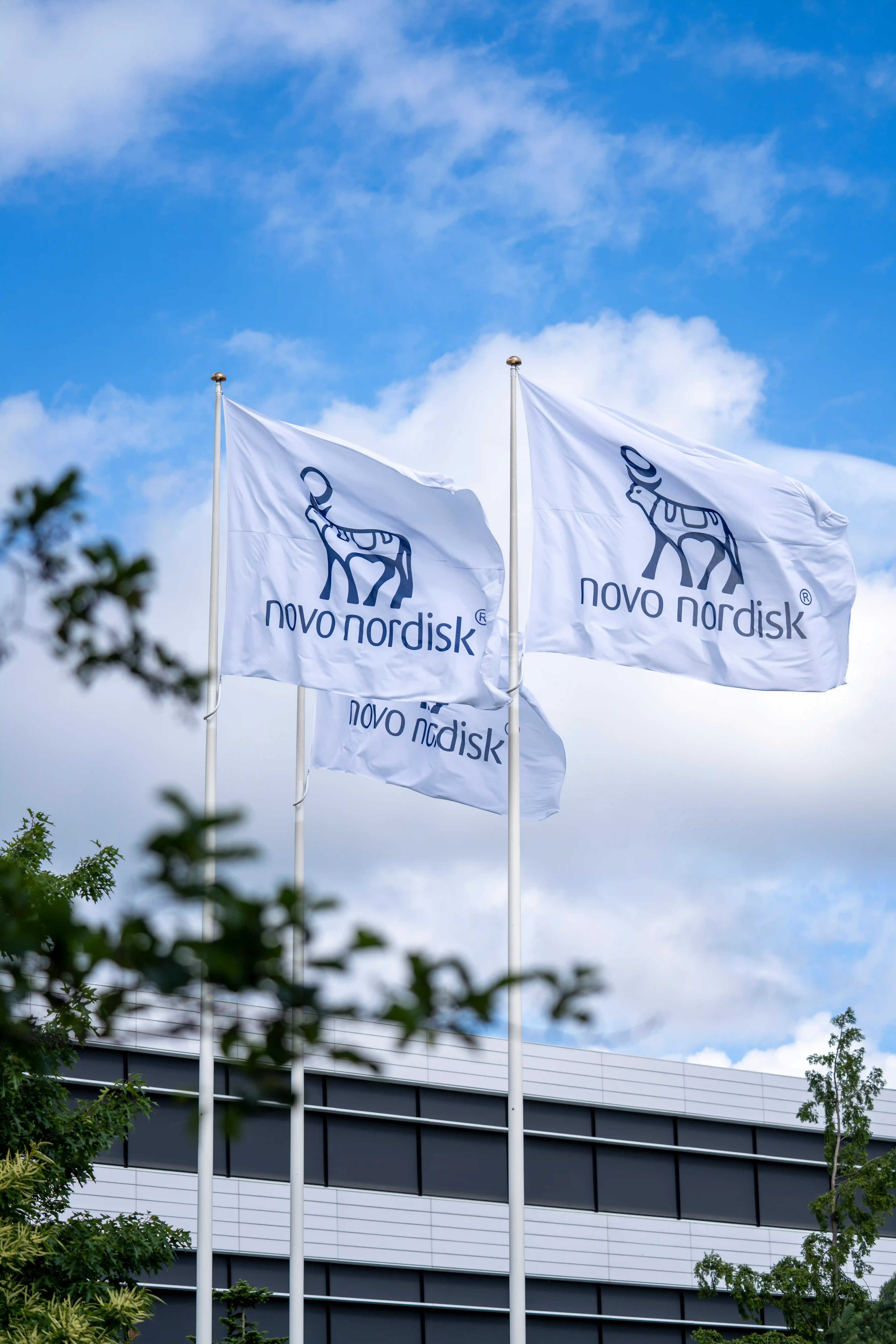 novo nordisk flags