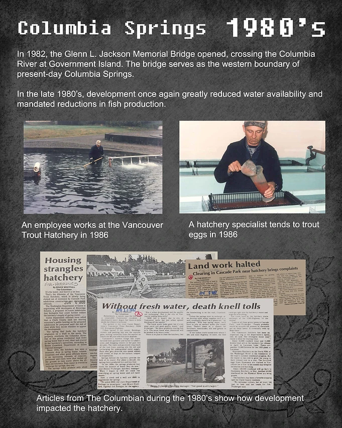 columbia springs vancouver trout hatchery columbia flyer newspaper