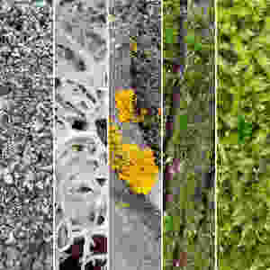 Textures
