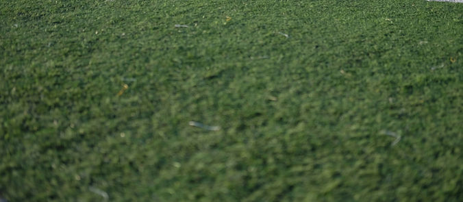 green and white football field_edited.jpg
