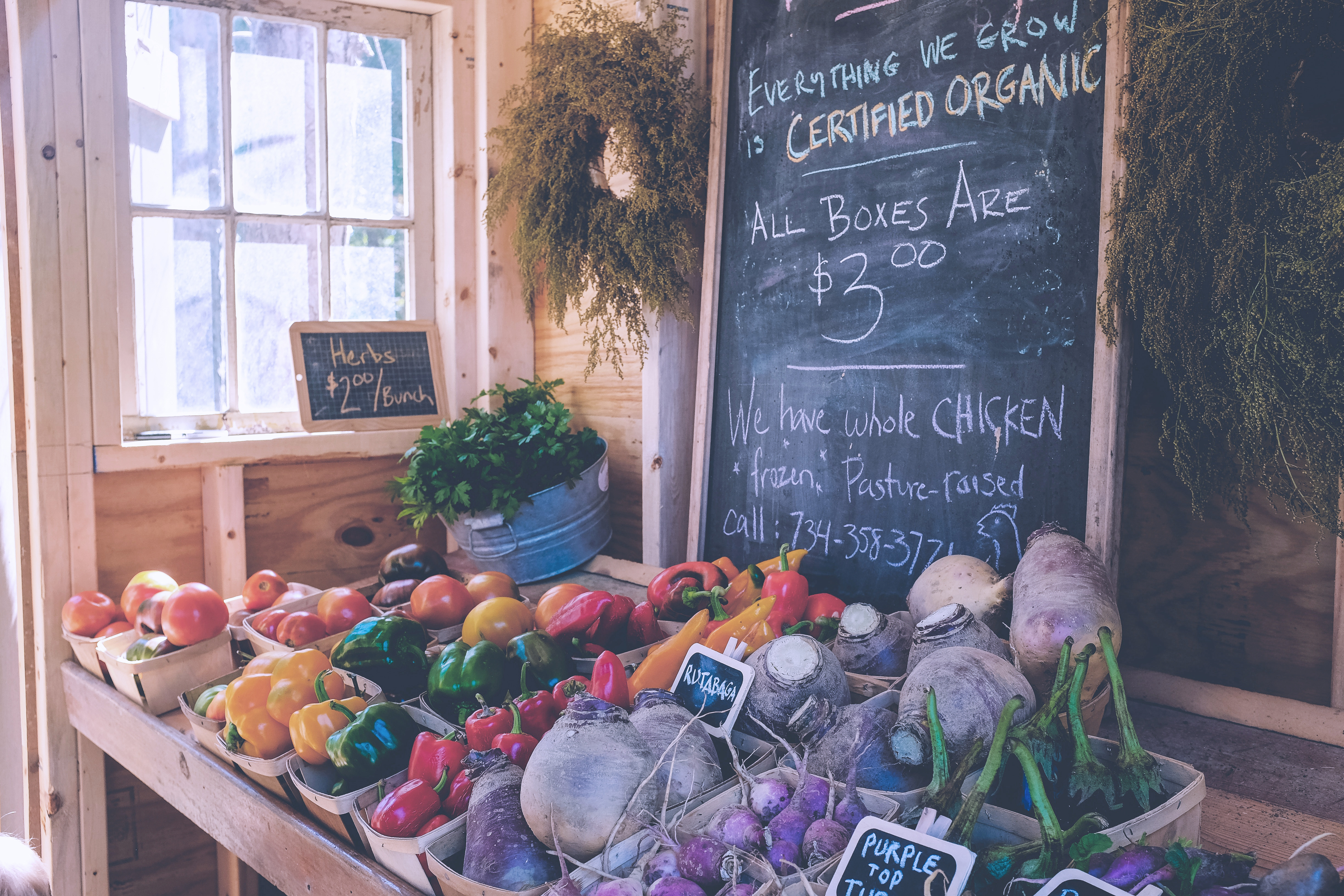 Organic Farmers Market