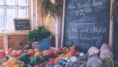 Organic Farmers Market