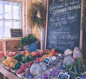 Organic Farmers Market