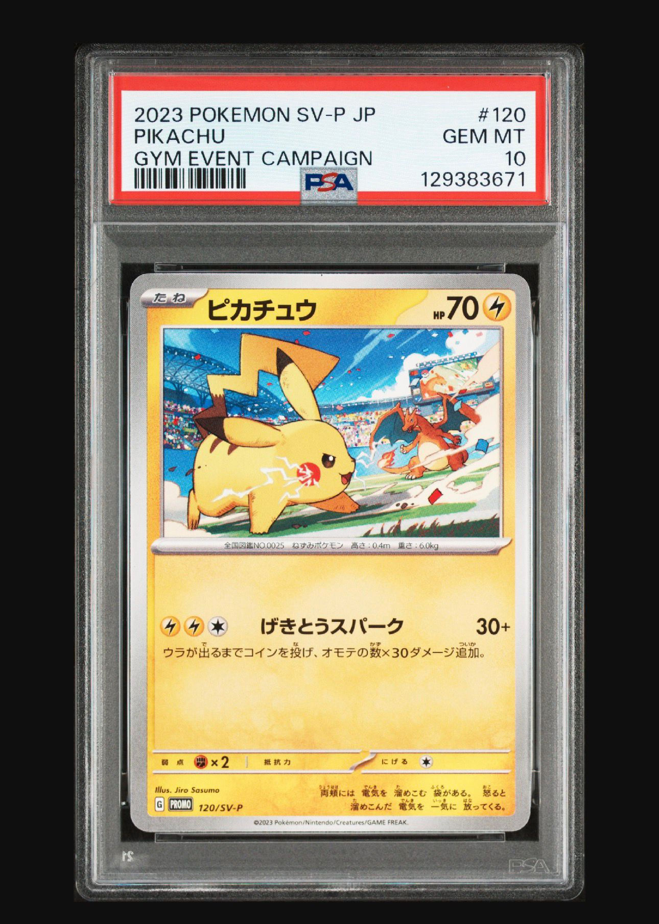 2023 PIKACHU EVENT CAMPAIN PSA 10 GEM MINT JP