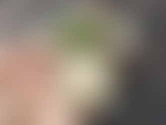 Baby Yoda, Star Wars - The Mandalorian, The Child Felt Doll, Green Baby Yoda Plushie