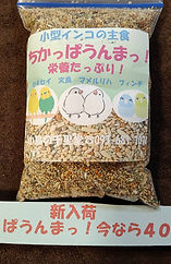 ごはん