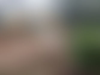 Shaping the Ground for What Comes Next