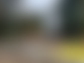 Sunny Spirits, Rainy Forecasts