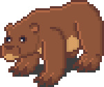 bear.gif