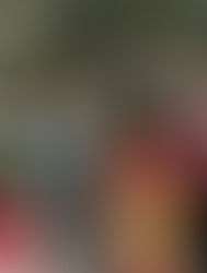 ABO Director Steven Gedde, MD, Inducted into University Honor Society