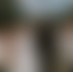 Mariage au Domaine de Franco dans le Var, cérémonie élégante en Provence avec les mariés entourés de leurs proches sous une lumière douce et chaleureuse.