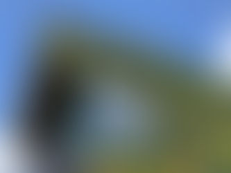 אדריכלות בת קיימא לעתיד כדור הארץ