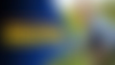 Misure in favore dell’autoimprenditorialità giovanile e femminile in agricoltura.