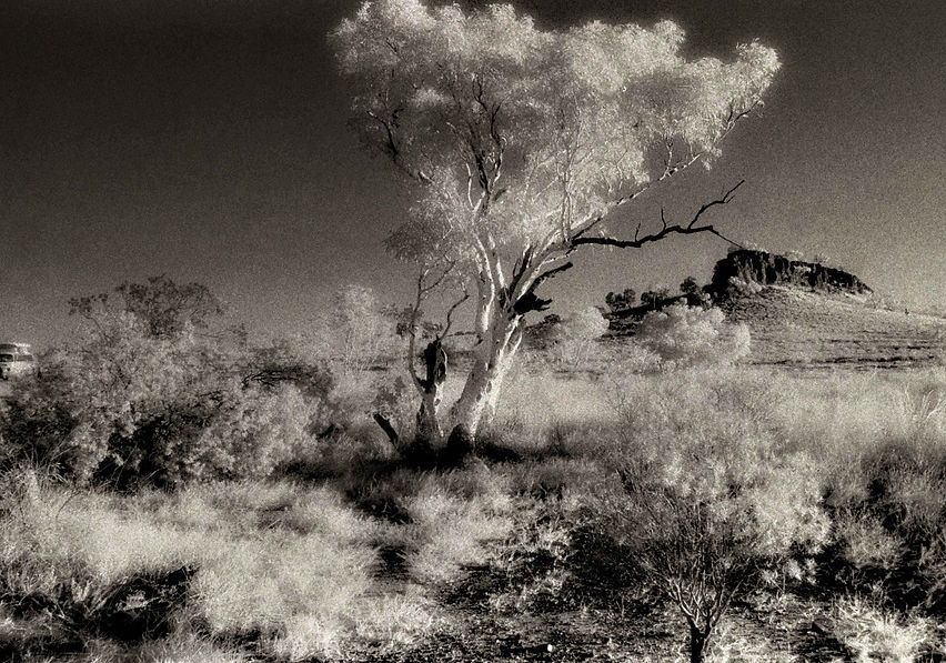 Central Desert, Northern Territory, Australia.
